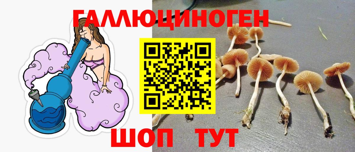 Псилоцибиновые грибы Psilocybe Маркс